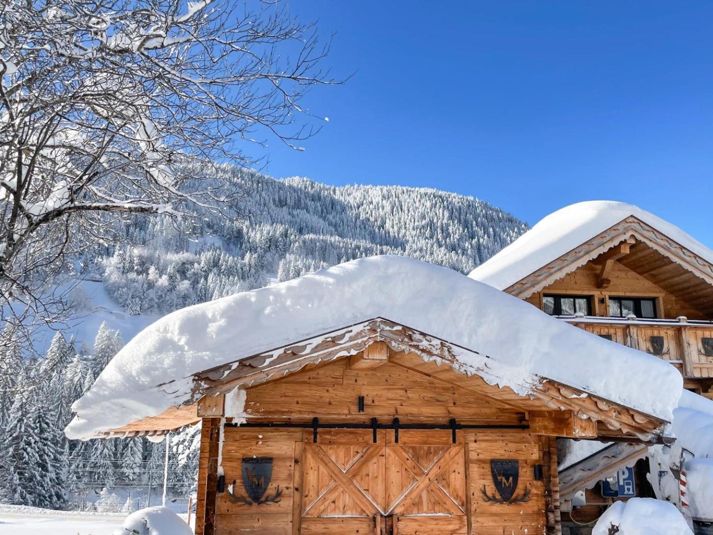 Genusshotel Vermala Montafon ซังคท์กัลเลนเคียร์ช ภายนอก รูปภาพ